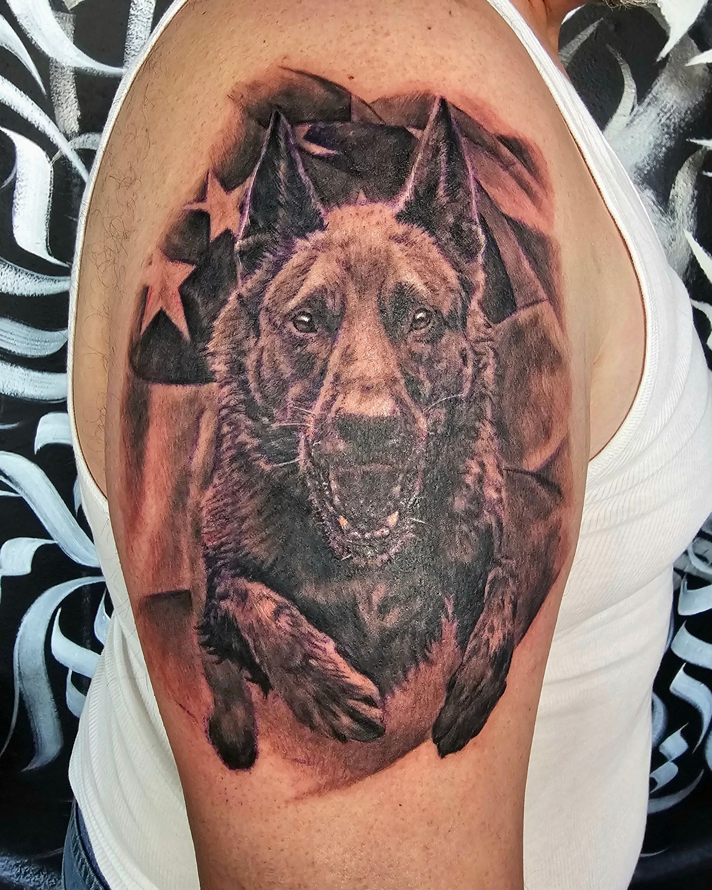 Fun little Malinois in front of the ol' stars and stripes
Done by Justin
@Jukzta
 #CUtattoo #blackandgrey #ChampaignTattoo #Chambana#NightfallGallery #ChambanaInk #Jukzta #darkart #UofI #ChampaignUrbana #CUtattoo #recoveryAftercare #MalinoisTattoo #blackandgraytattoo
